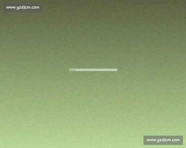 NBA总决赛湖人对热火总比分走势与冠军悬念全解析终极对决回顾